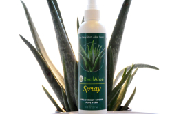 thumb_104_1_real-aloe-spray.jpg