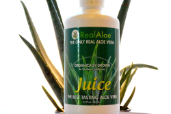 thumb_206_1_aloe-vera-juice-concentrate.jpg