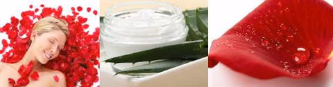 Dry/Mature Skin